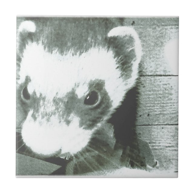 Ferret Cute Picture Ceramic Tile (Front)