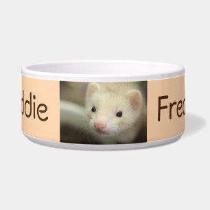 Ferret face