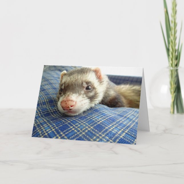 Ferret Face Birthday Card (Front)