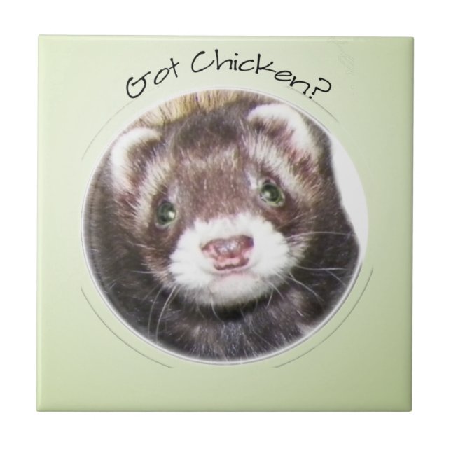 Ferret Face Got Chicken? Ceramic Tile (Front)
