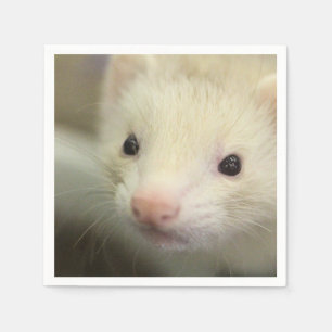 Ferret face napkin