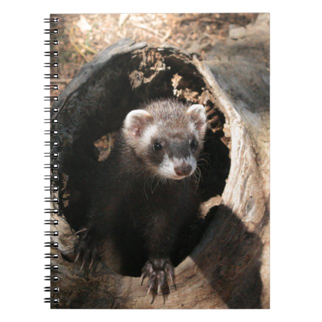 Ferret Face Notebook (Front)