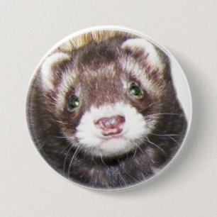 Ferret Face Picture 7.5 Cm Round Badge