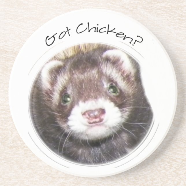 Ferret Face Picture Got Chicken? Coaster (Front)