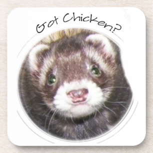 Ferret Face Picture Got Chicken? Coaster