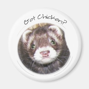 Ferret Face Picture Magnet