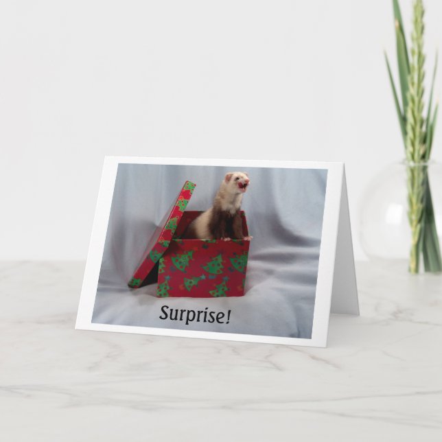 Ferret in a Box Notecards (Front)