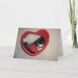 Ferret in Heart Valentine's Day Card