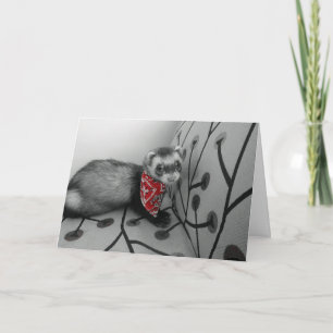 Ferret In Red Bandanna Birthday Card