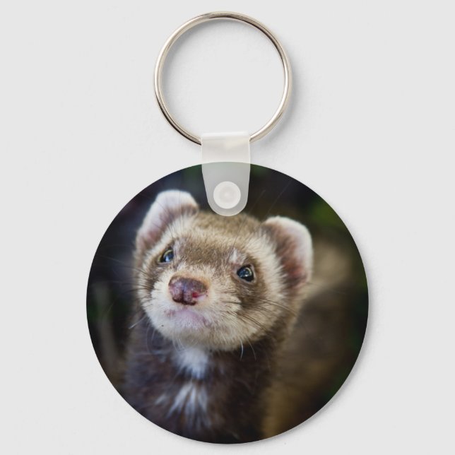 Ferret Key Ring (Front)