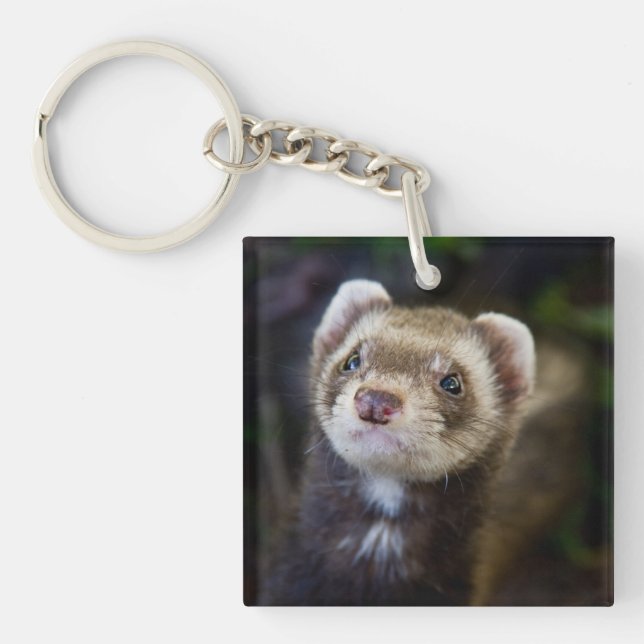 Ferret Key Ring (Front)