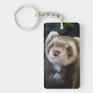 Ferret Key Ring