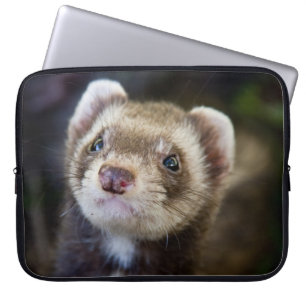 Ferret Laptop Sleeve
