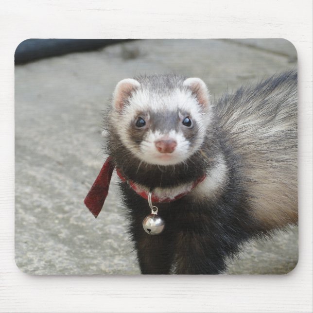 ferret mouse pad (Front)