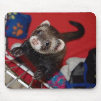 Ferret Mouse Pad