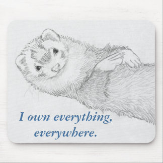 Ferret Mousepad - Pandora Owns