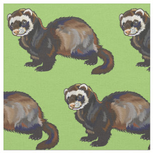 ferret (Mustela putorius furo) Fabric