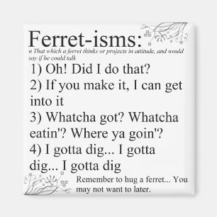 Ferret Pictures Sayings and Quotes Magnet