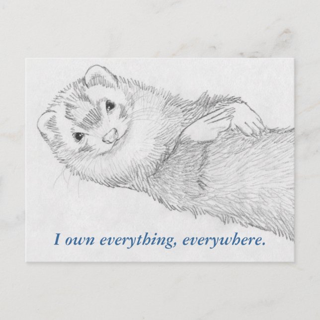 Ferret Postcard - Pandora Owns (Front)