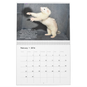 Ferret Rescue Benefit Calendar