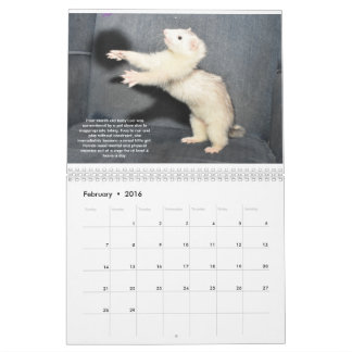 Ferret Rescue Benefit Calendar