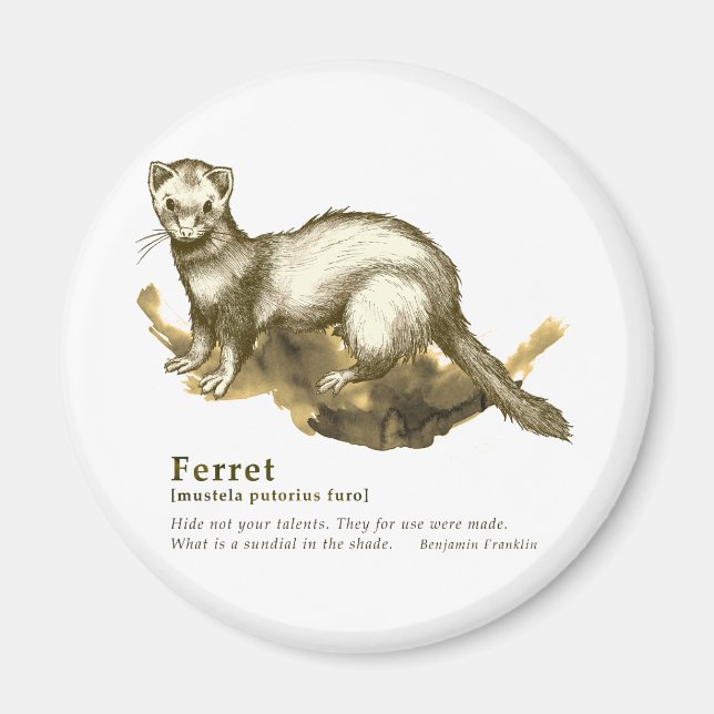 Ferret - sepia magnet (Front)