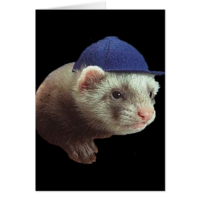 Ferret Wearing Hat (Front)