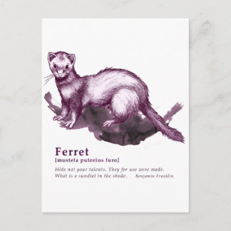 Ferret - wine postcard