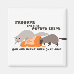 Ferrets are Like Potato Chips Magnet