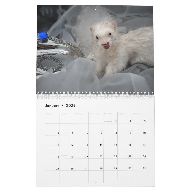 Ferrets Calendar - 3 - (Jan 2026)