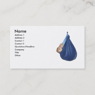 Ferrets In A Sleeping Bag Business Card