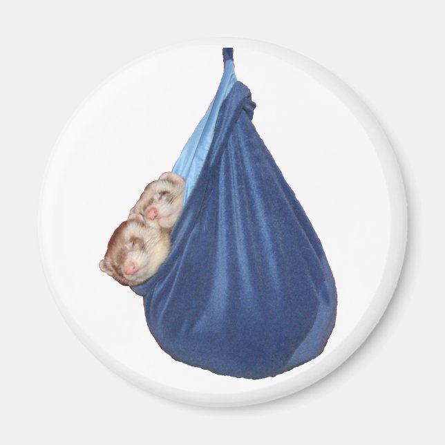 Ferrets In A Sleeping Bag Magnet (Front)