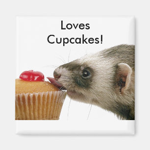 Ferrets Love Cupcakes Magnet