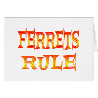 Ferrets Rule