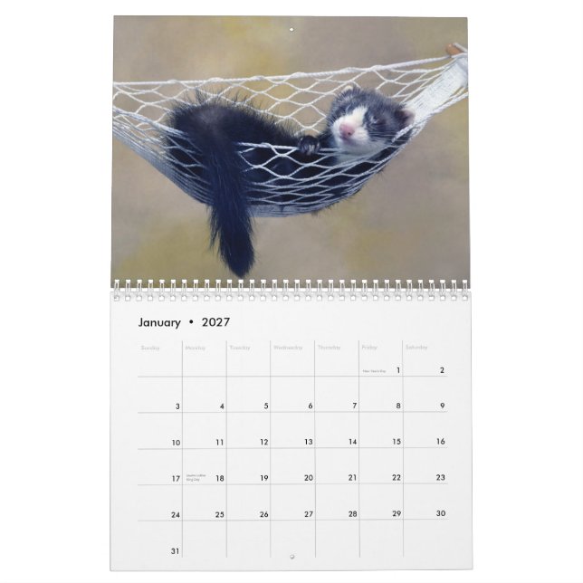 Ferrets Wall Calendar (Jan 2027)