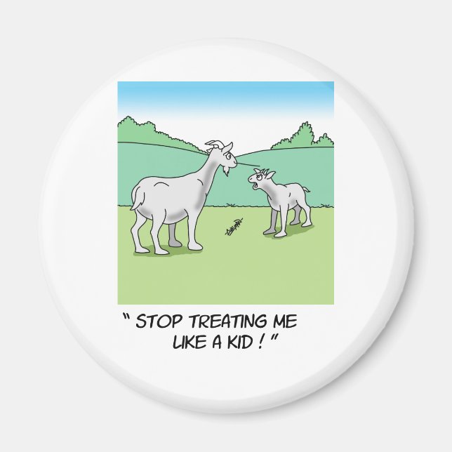 Ferris392 Magnet (Front)