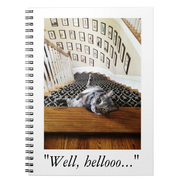 Ferris Mewler is hitting on you. Notebook (Front)