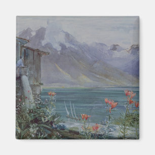 Ferritet, Lake Geneva, 1882 Magnet