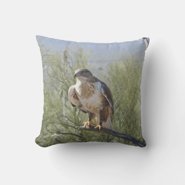 Ferruginous Hawk Cushion (Front)