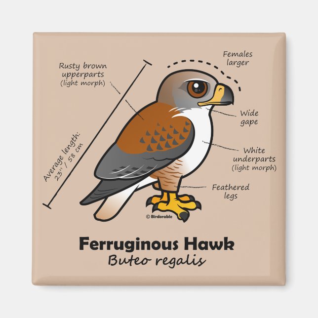 Ferruginous Hawk Statistics Magnet (Front)