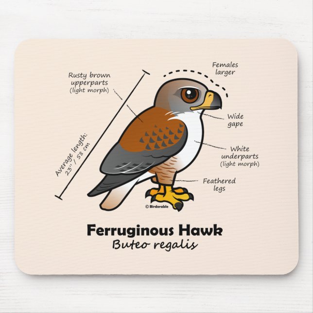 Ferruginous Hawk Statistics Mouse Pad (Front)