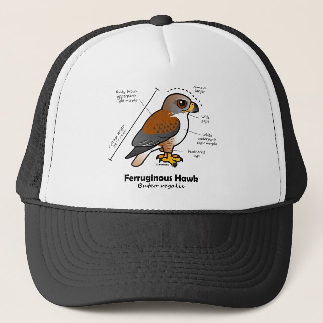 Ferruginous Hawk Statistics Trucker Hat (Front)