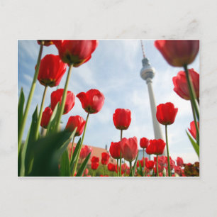 Fersehturm Television Tower Berlin Germany Postcard