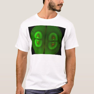 Fertilised frog egg T-Shirt