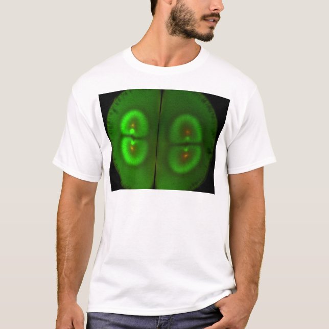 Fertilised frog egg T-Shirt (Front)