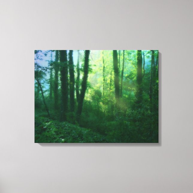 Fertility Canvas Print (Front)