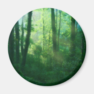 Fertility Magnet