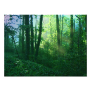 Fertility Photo Print