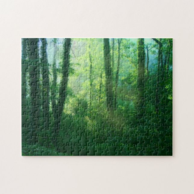 Fertility Puzzle (Horizontal)