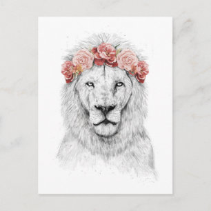 Festival lion postcard